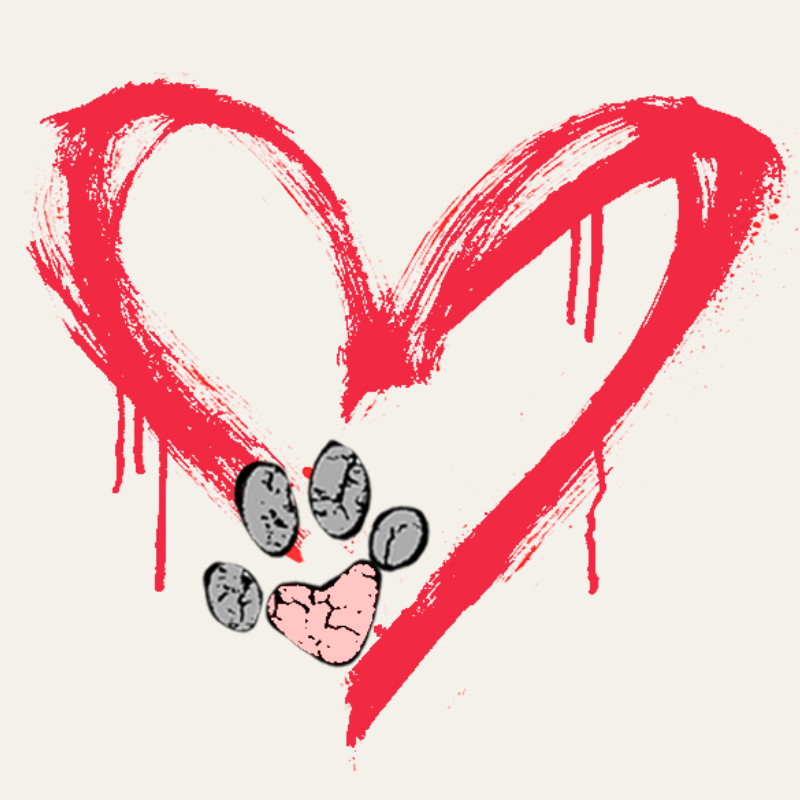 Basty & Co Gift Card